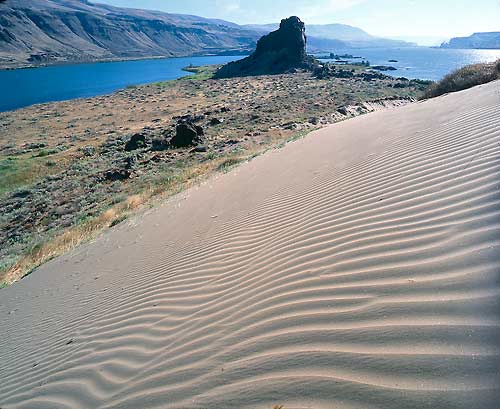 sand dunes along the columbia river 